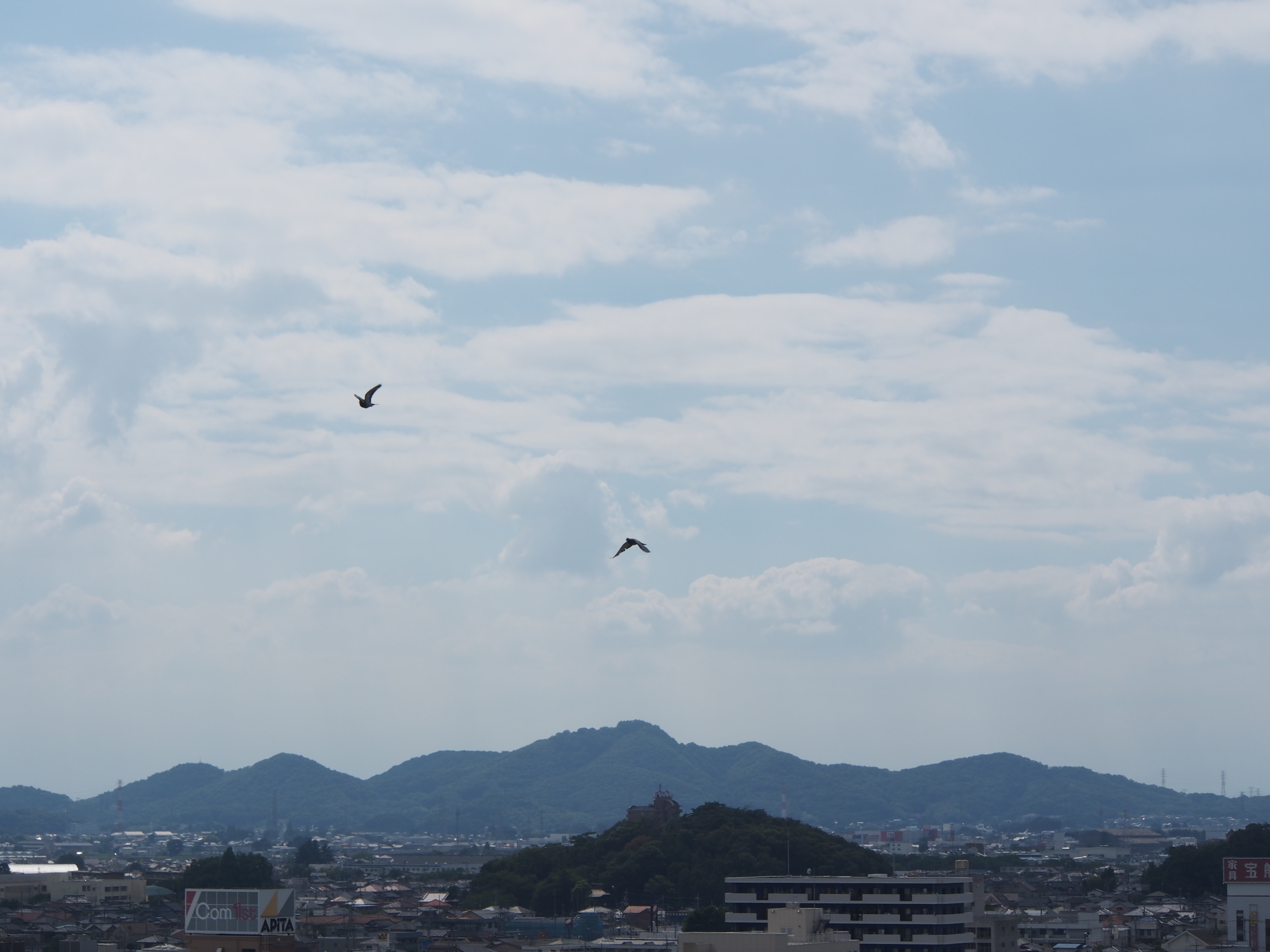 P8040046.JPG