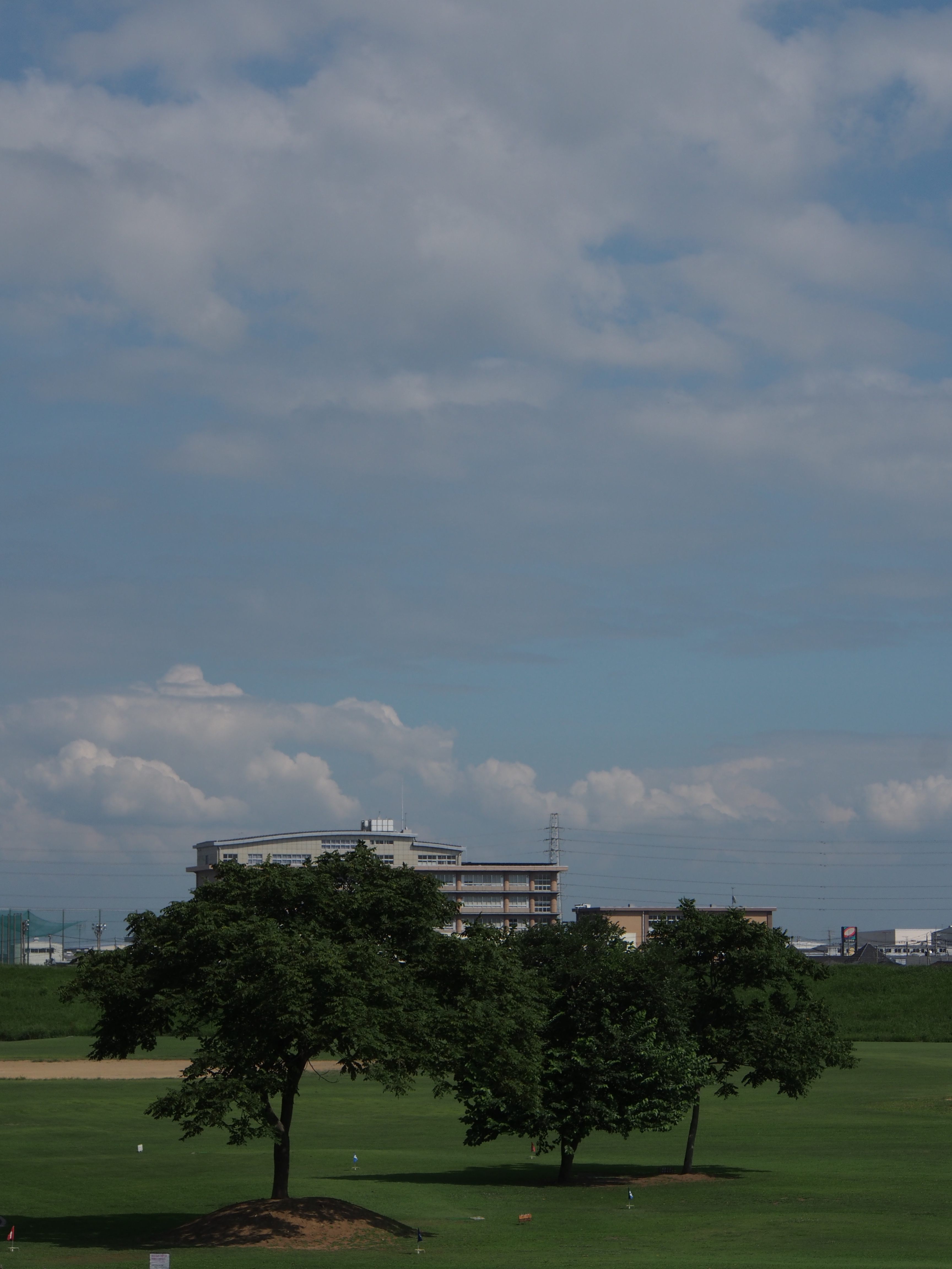P8040057.JPG
