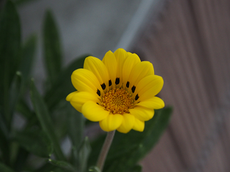 P8040074_thumb.png