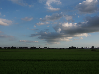 P8050178_thumb.png