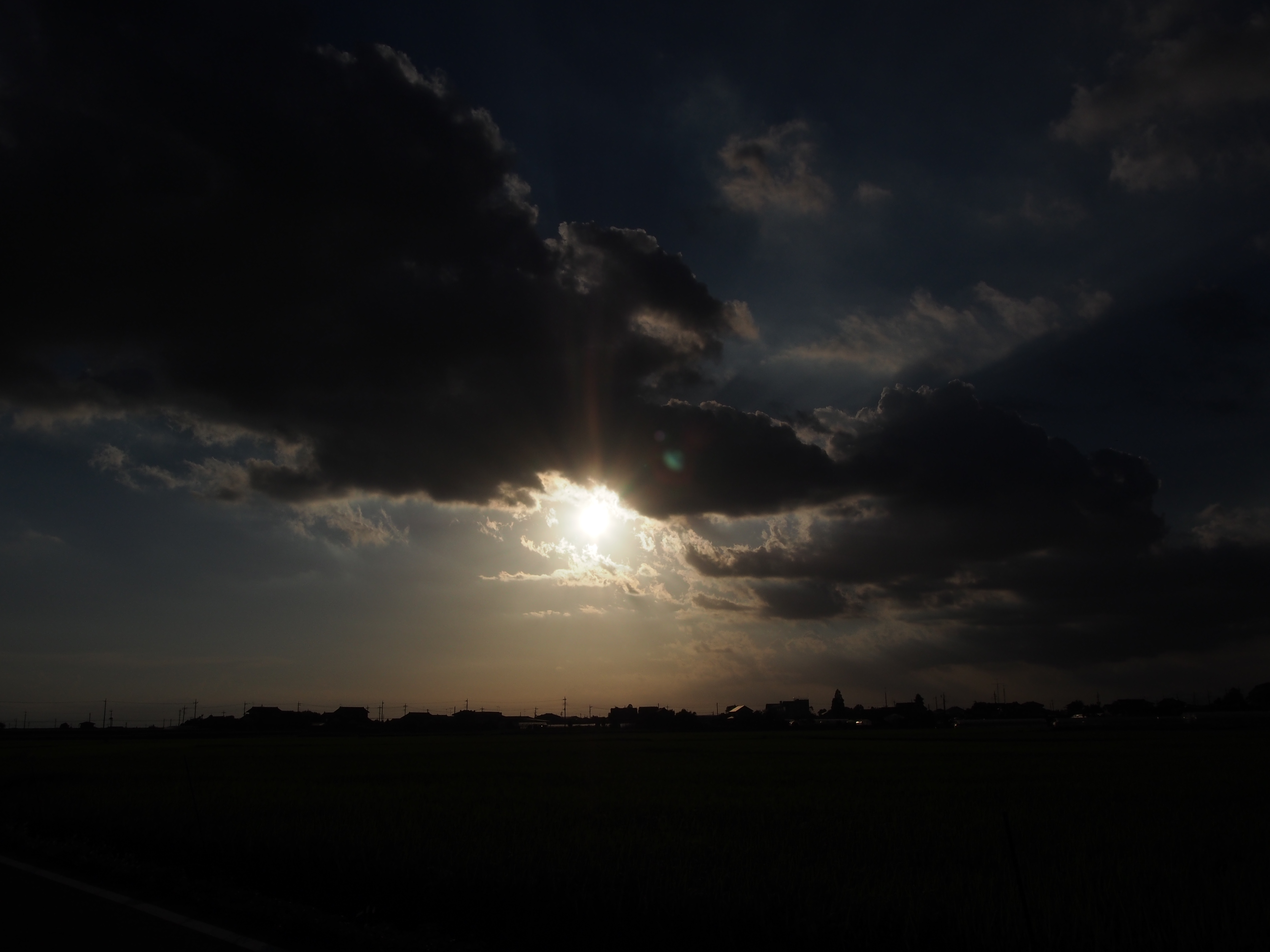 P8050195.JPG