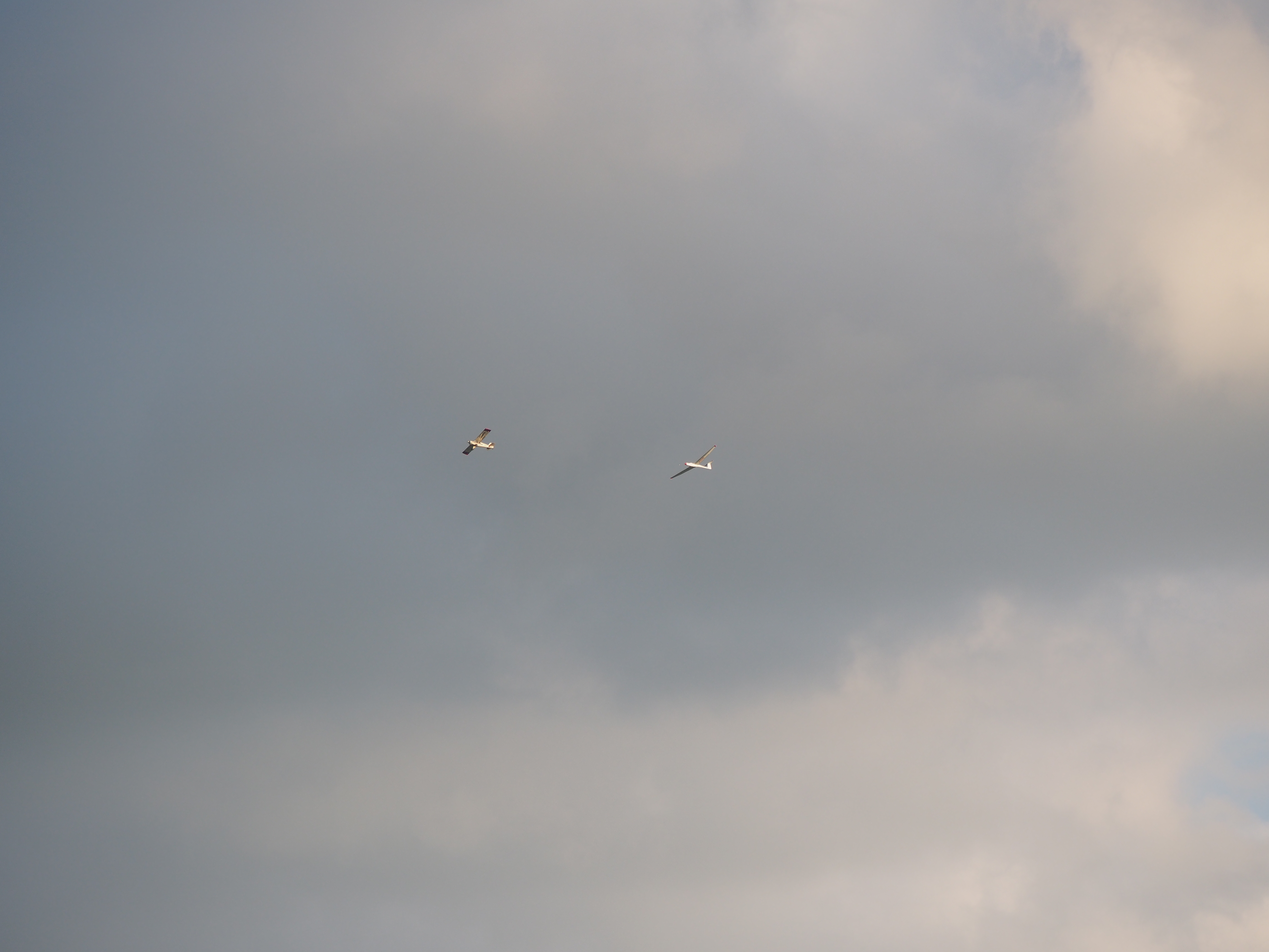 P8050201.JPG