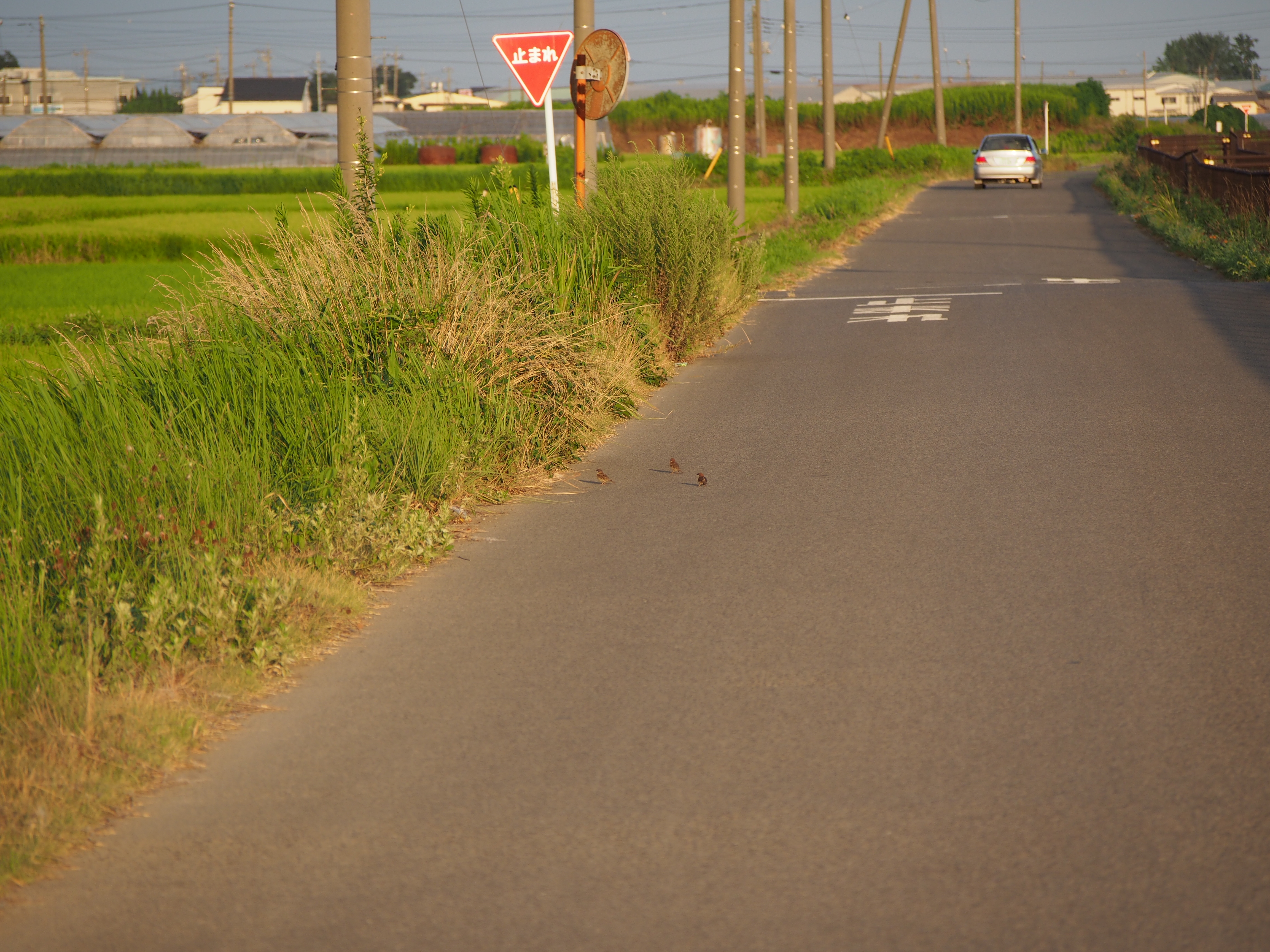 P8050251.JPG