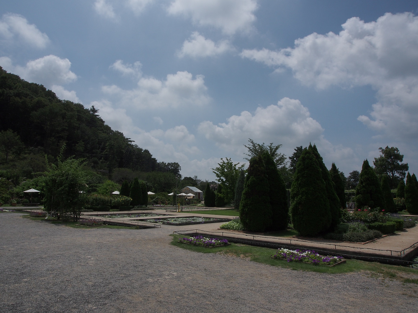 P8120411.jpg