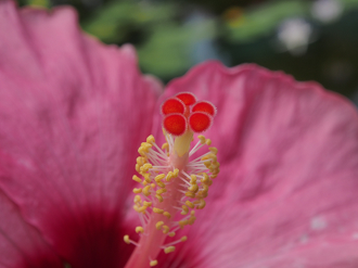 P8120476_thumb.png