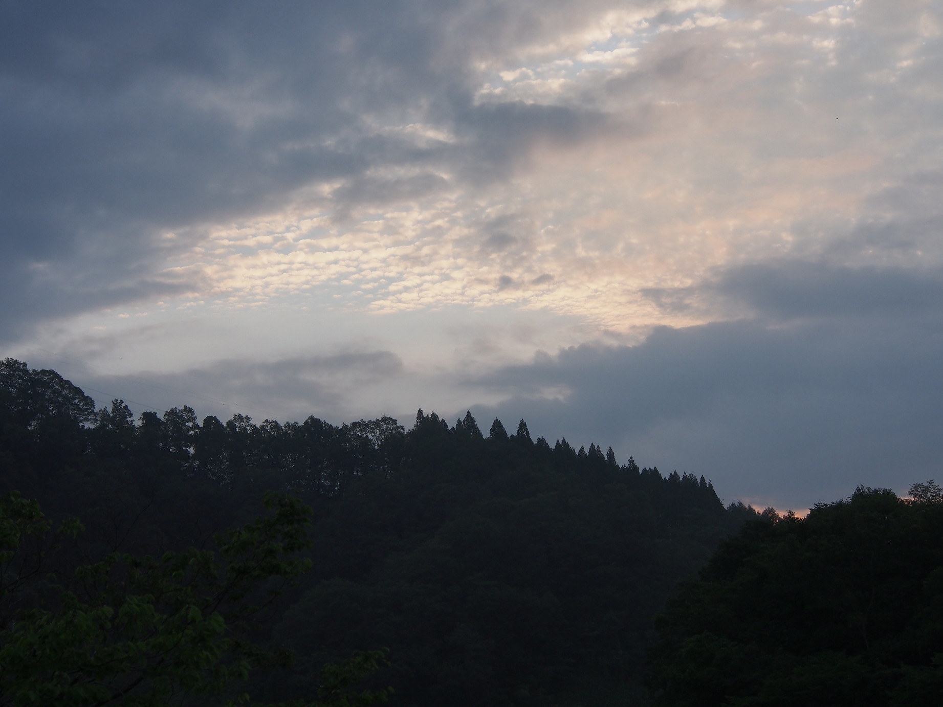 P8170009.jpg