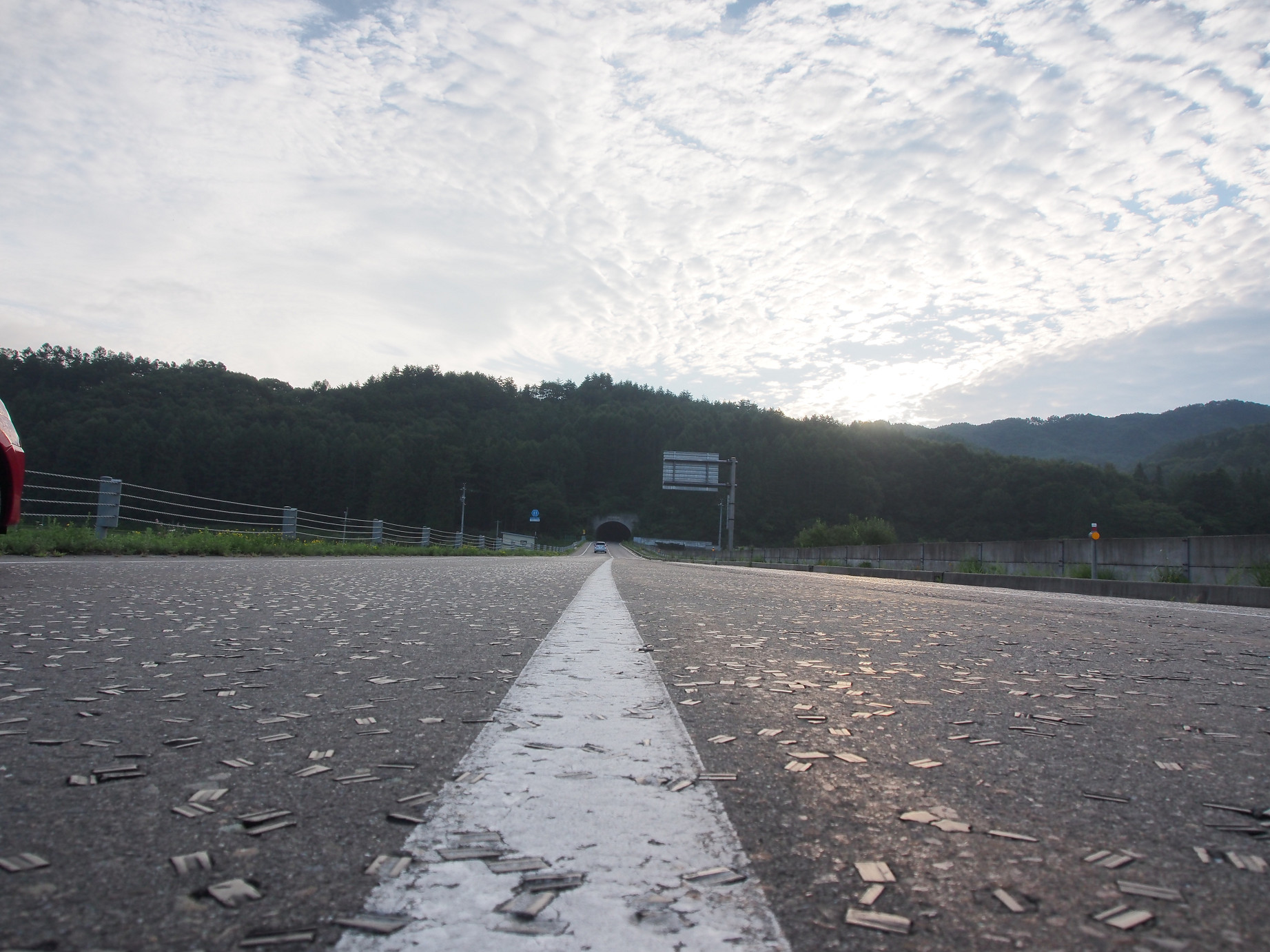 P8170021.jpg