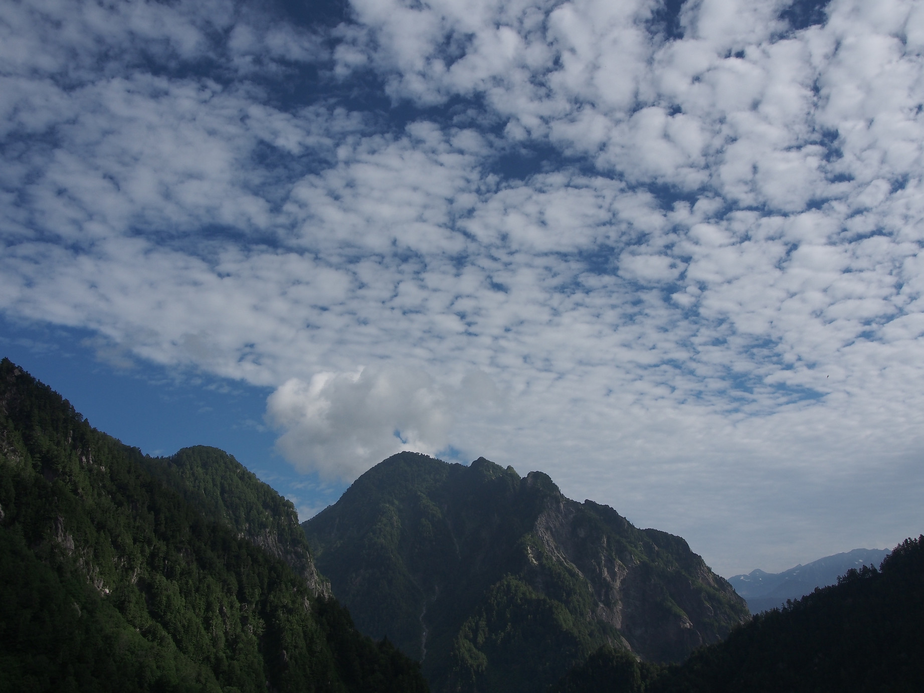 P8170031.jpg