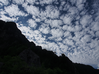P8170039_thumb.png