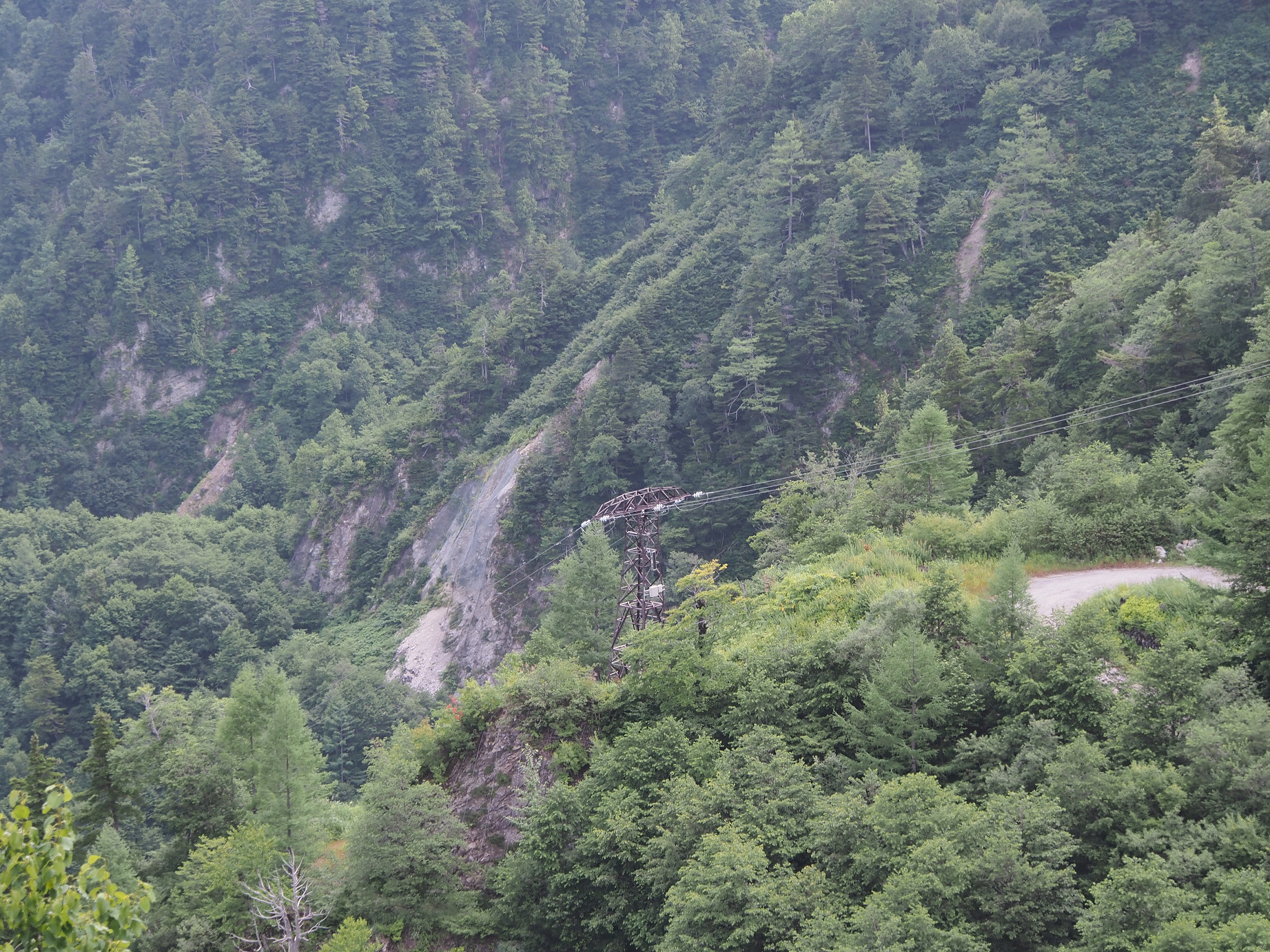 P8170050.jpg