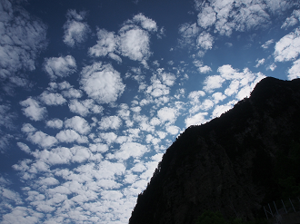 P8170078_thumb.png