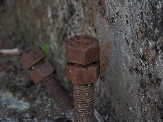 P8170329_thumb.png