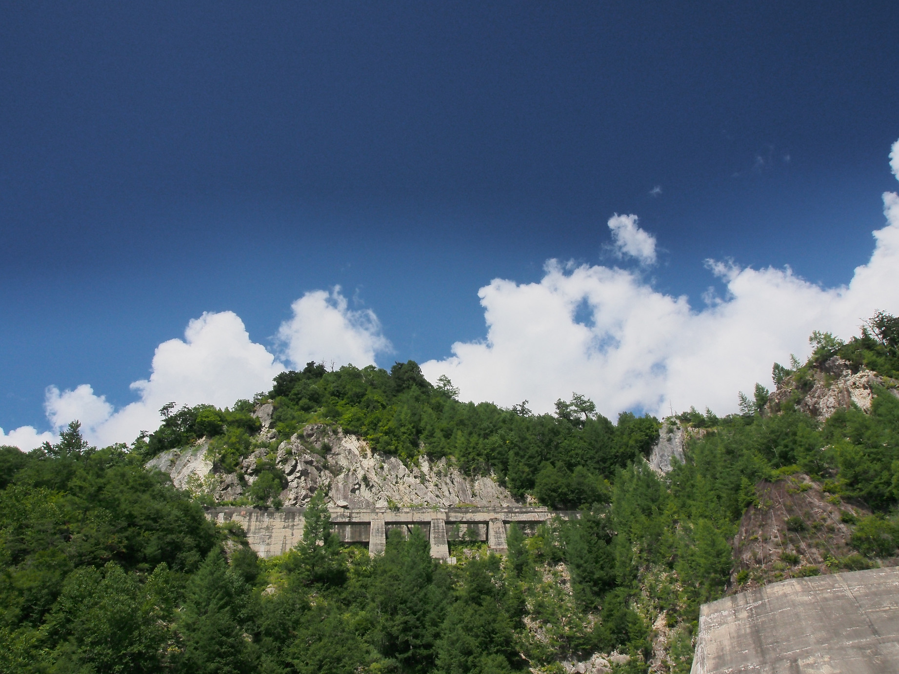 P8170400.jpg