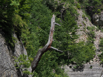 P8170407_thumb.png