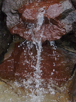 P8170543_thumb.png