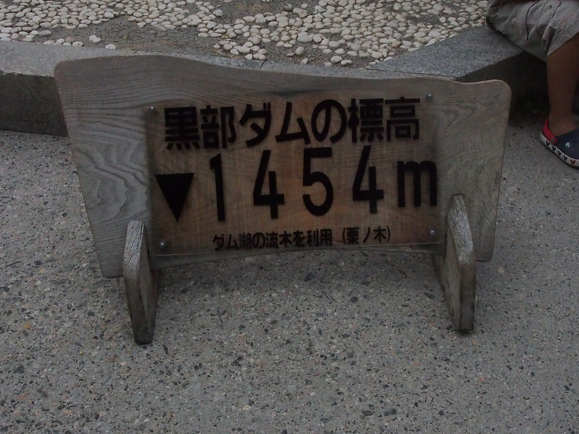 P8170564.jpg