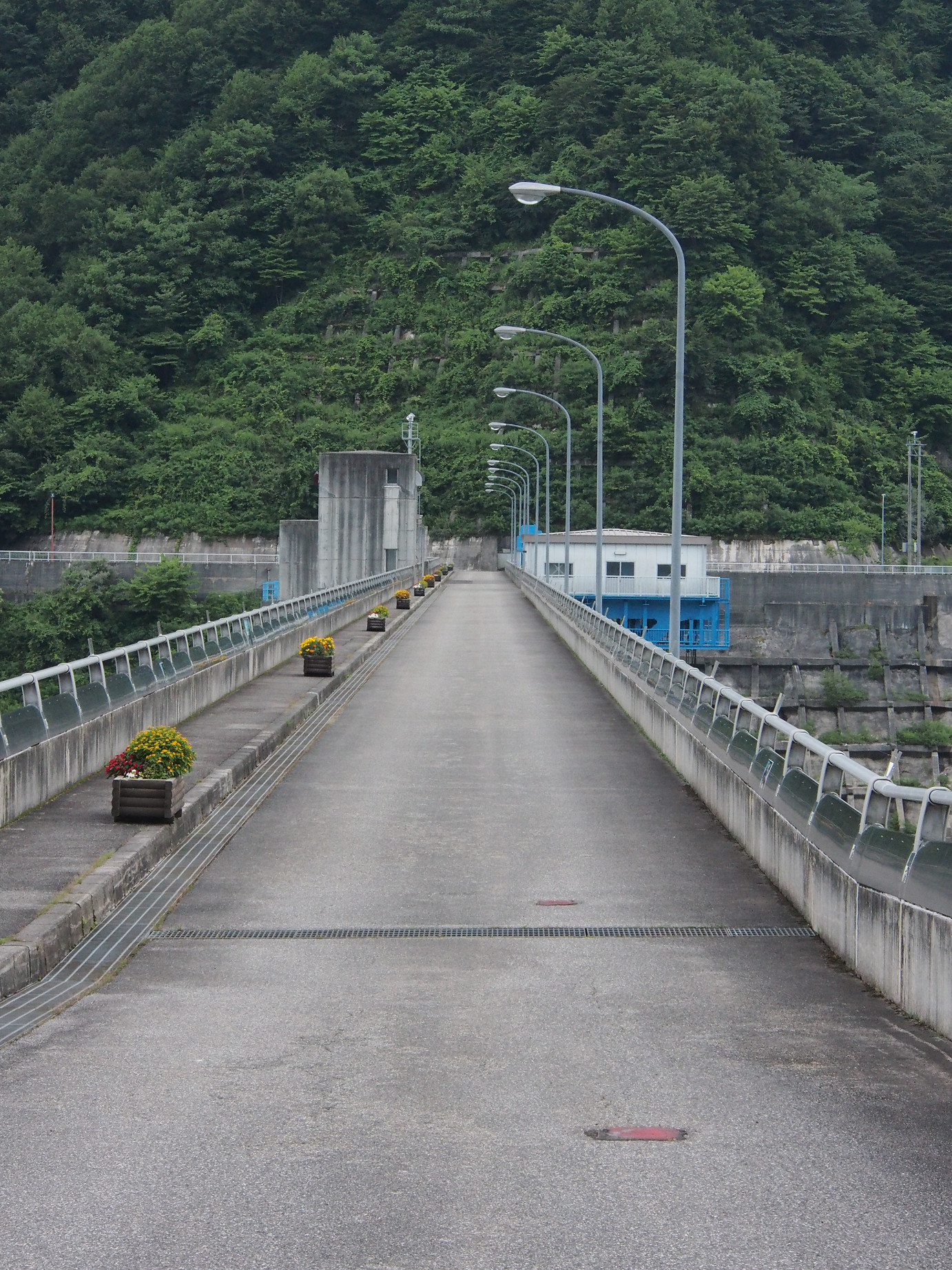 P8170630.jpg