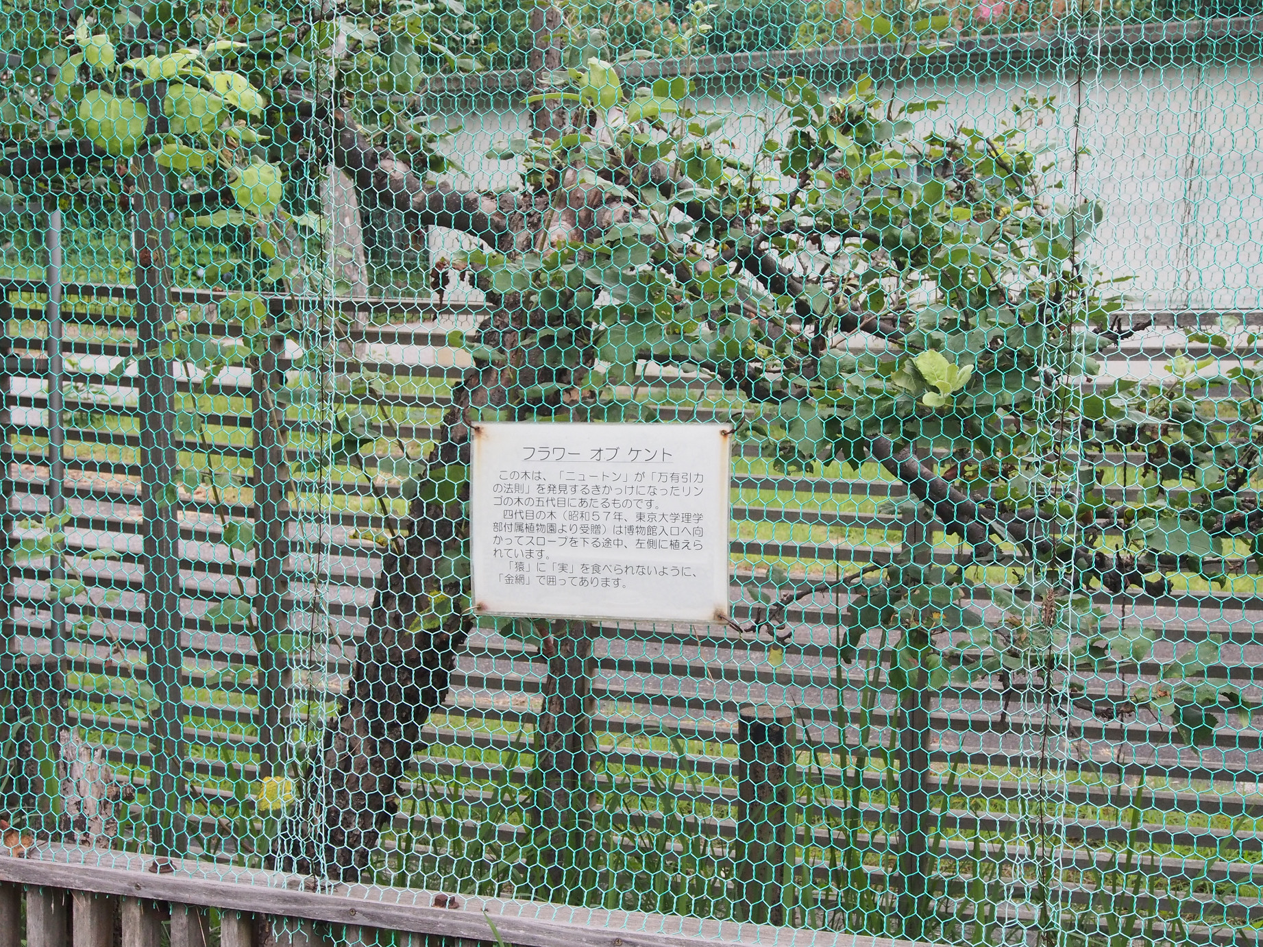 P8170642.jpg