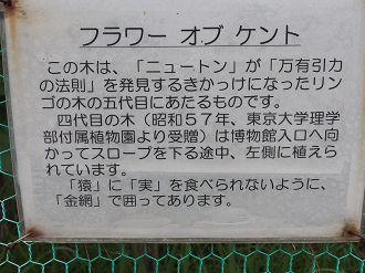 P8170643_thumb.png