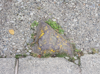 P8180740_thumb.png