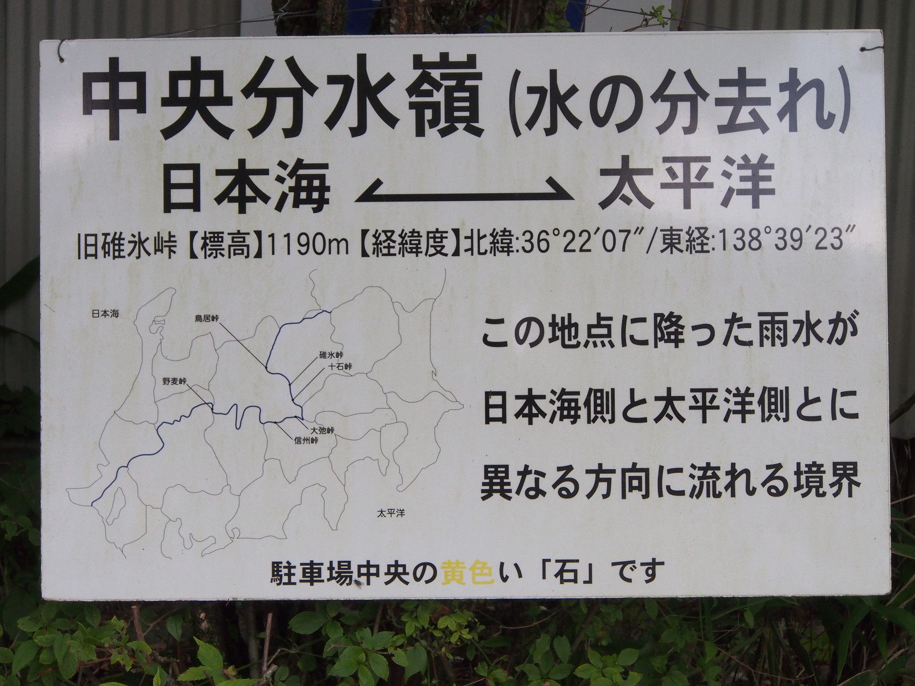 P8180741.jpg