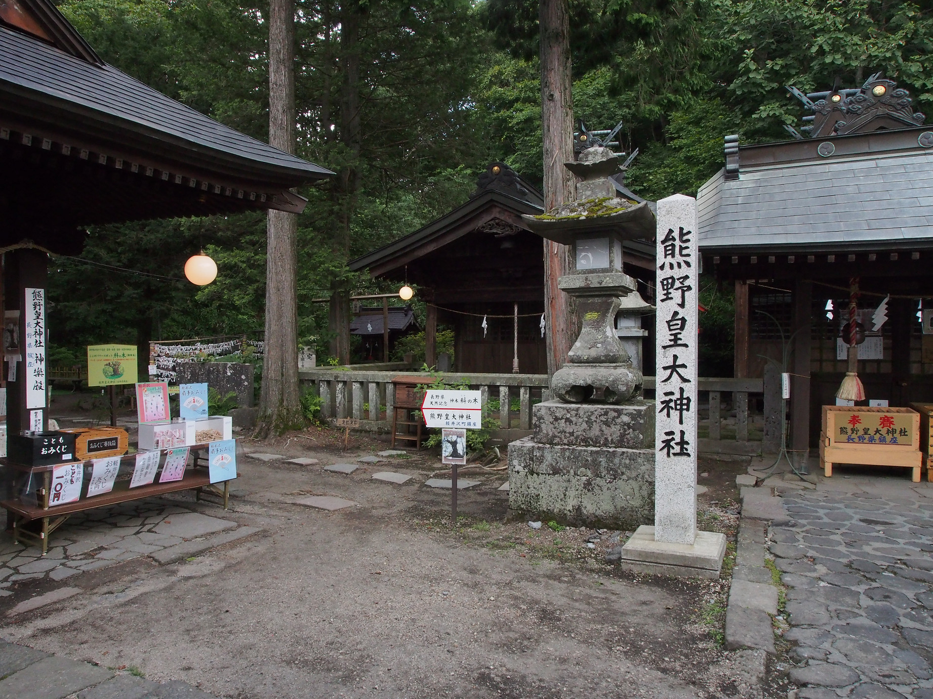 P8180753.jpg