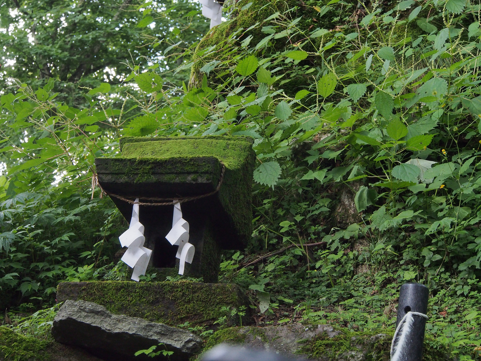 P8180757.jpg