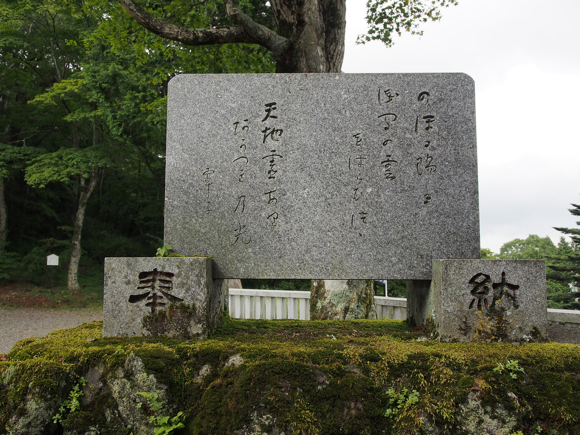 P8180780.jpg