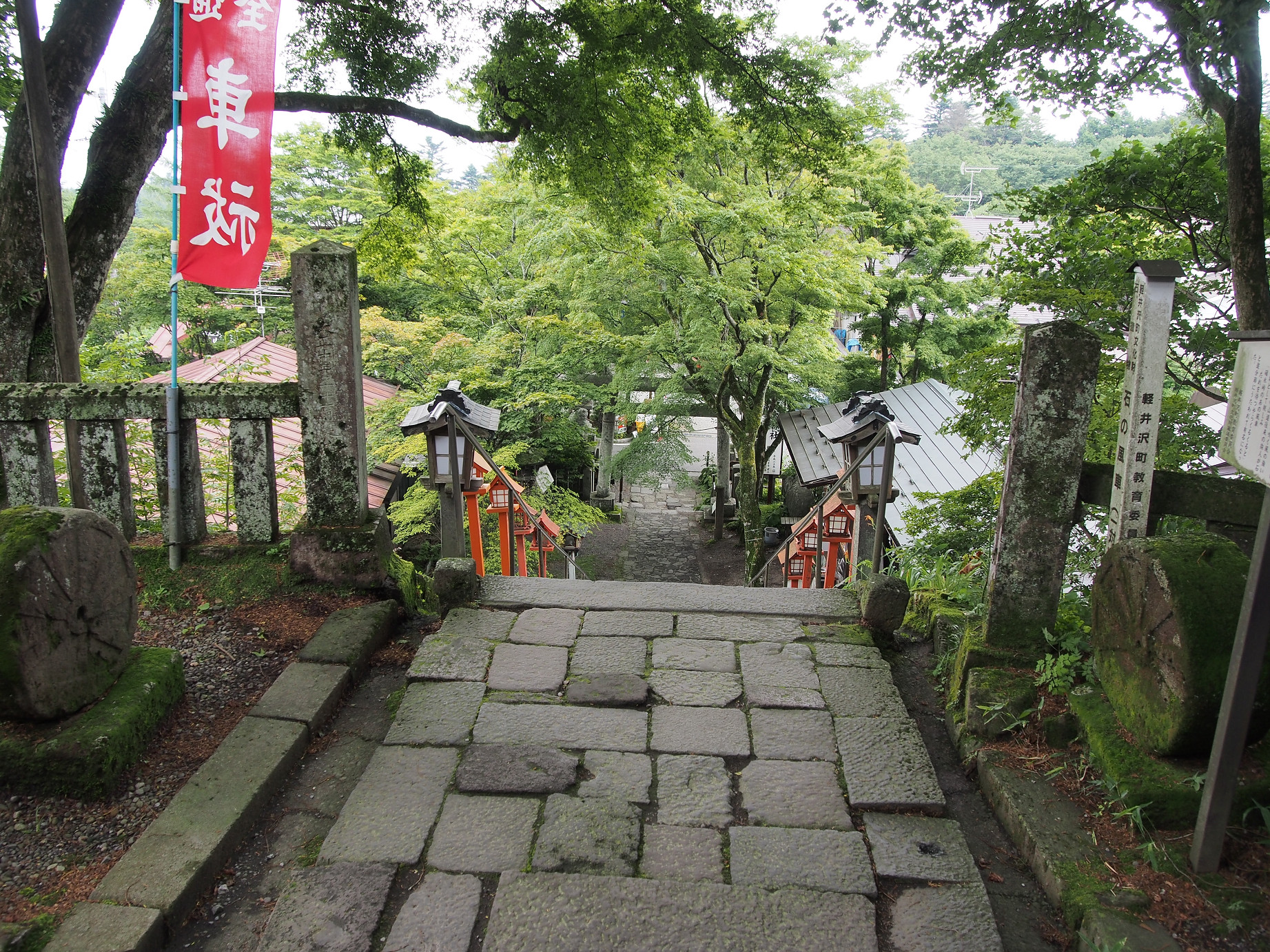 P8180781.jpg