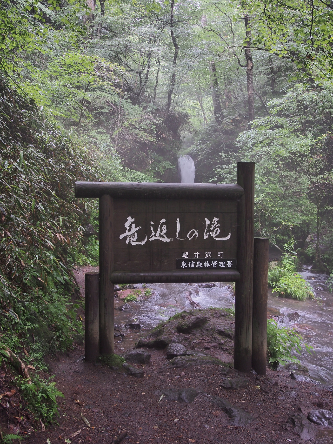 P8180891.jpg