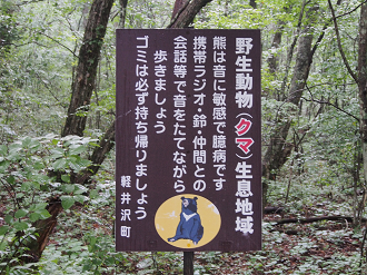 P8180963_thumb.png