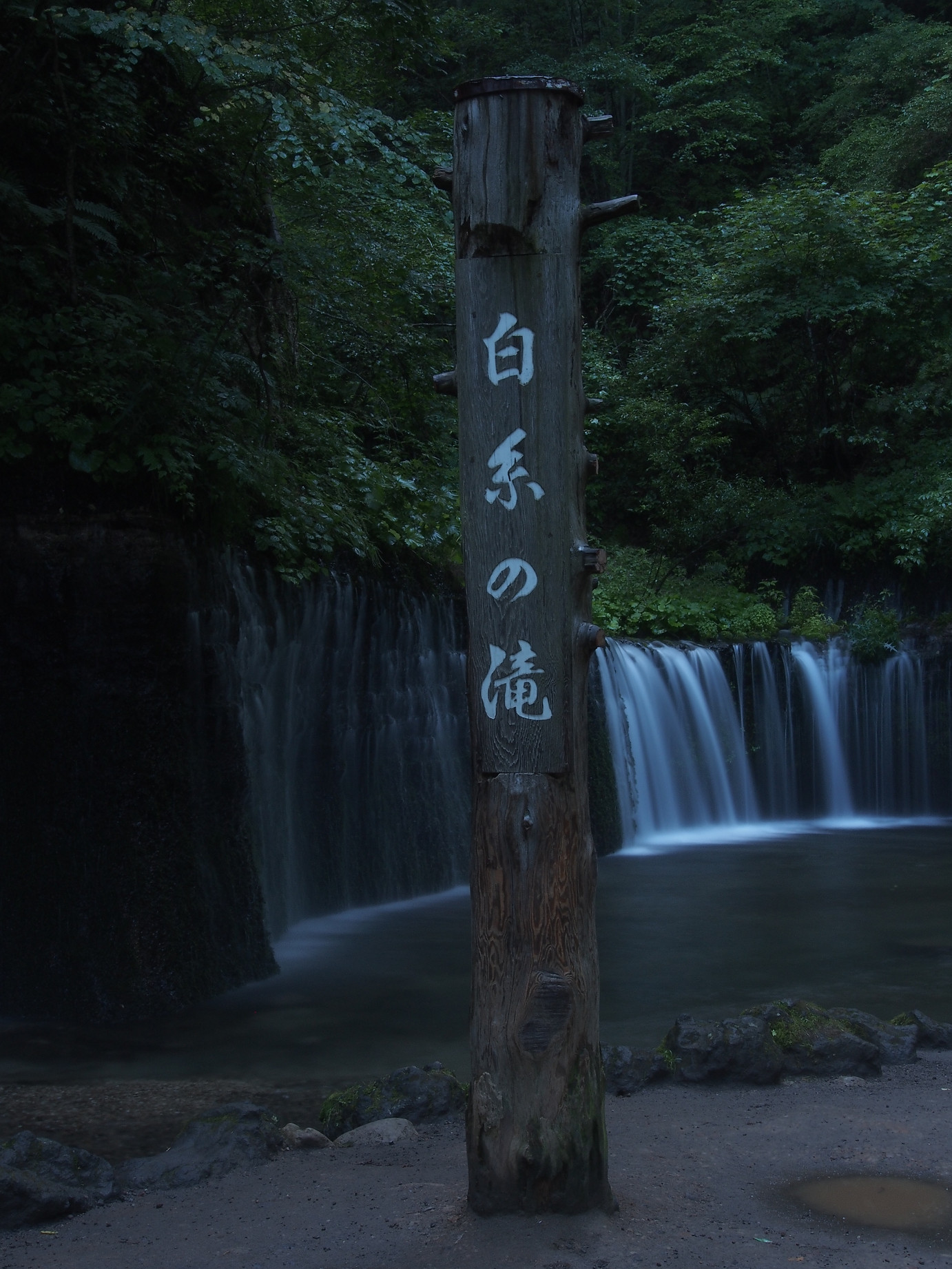 P8181031.jpg
