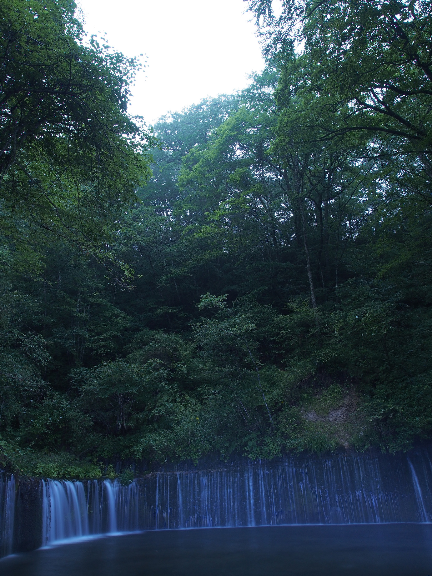 P8181051.jpg