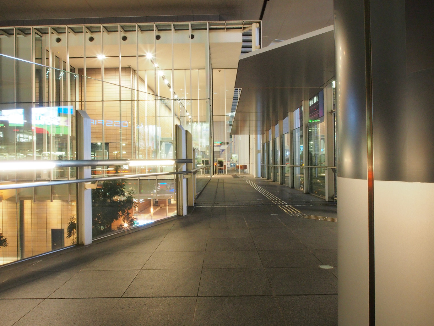 P8201136.JPG