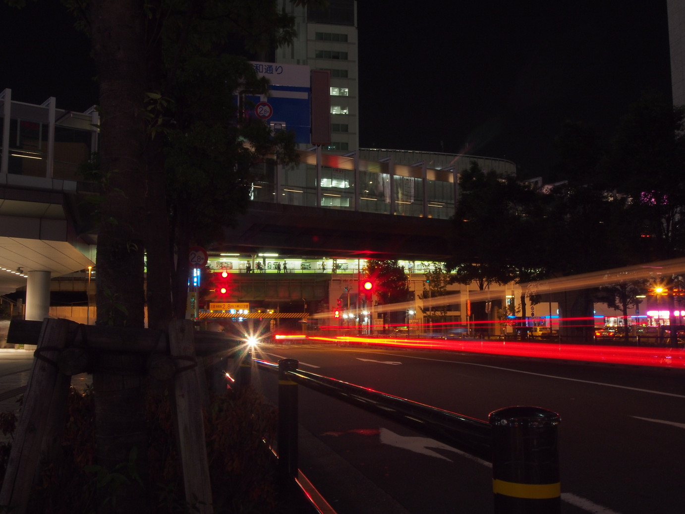 P8201159.JPG