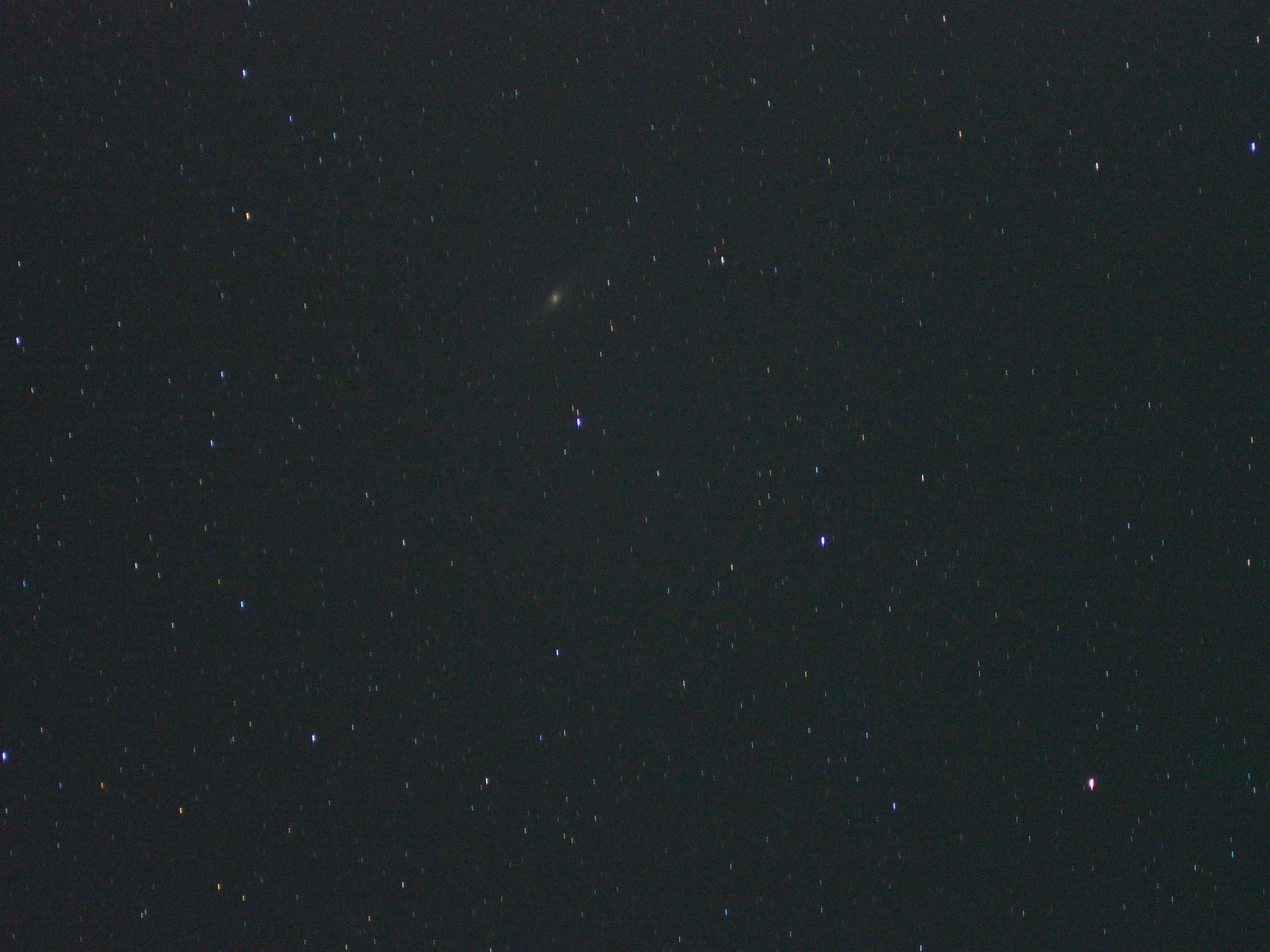 P8241323.JPG