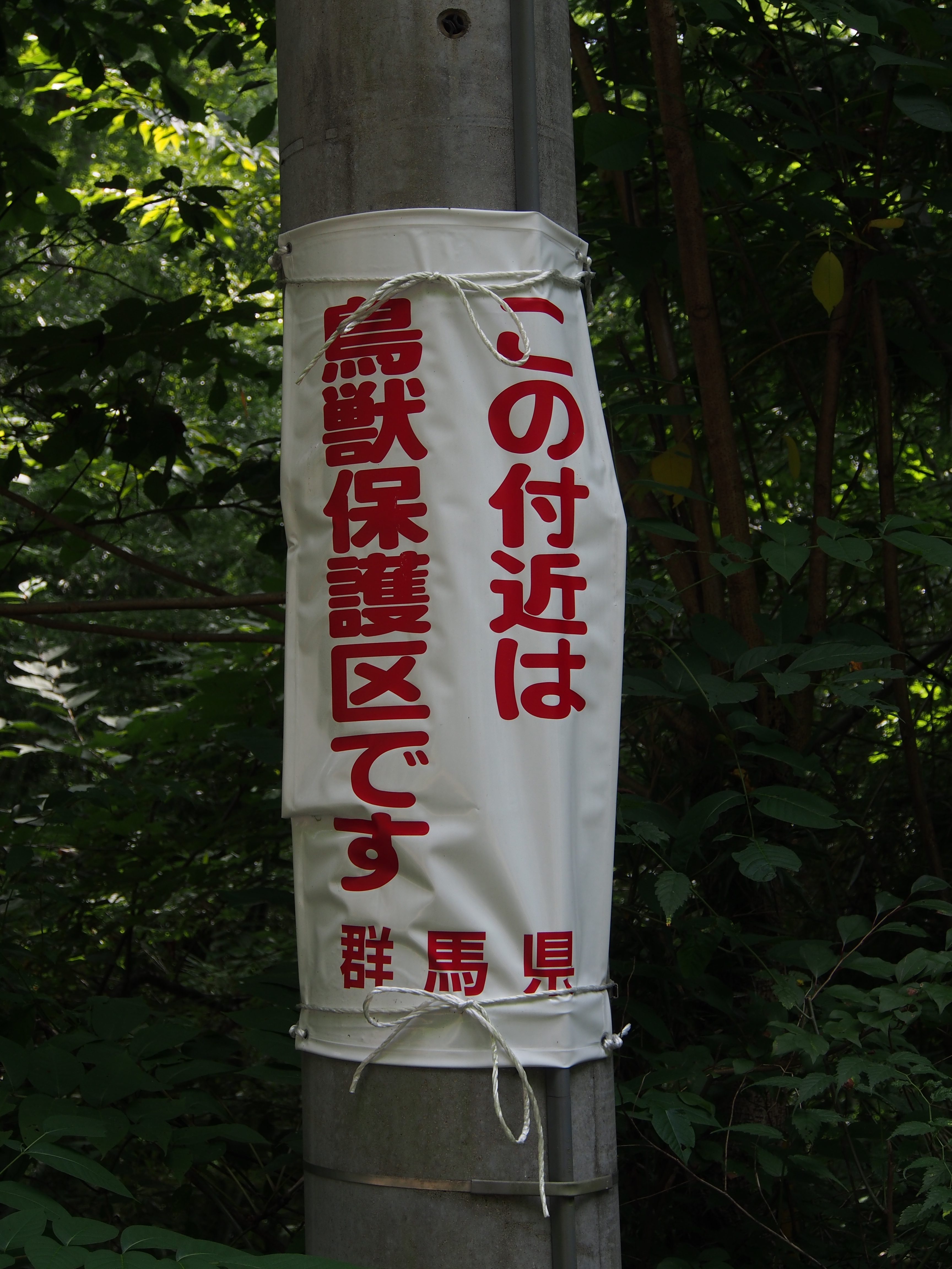 P9080130.JPG