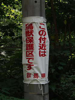 P9080130_thumb.png