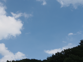P9080164_thumb.png
