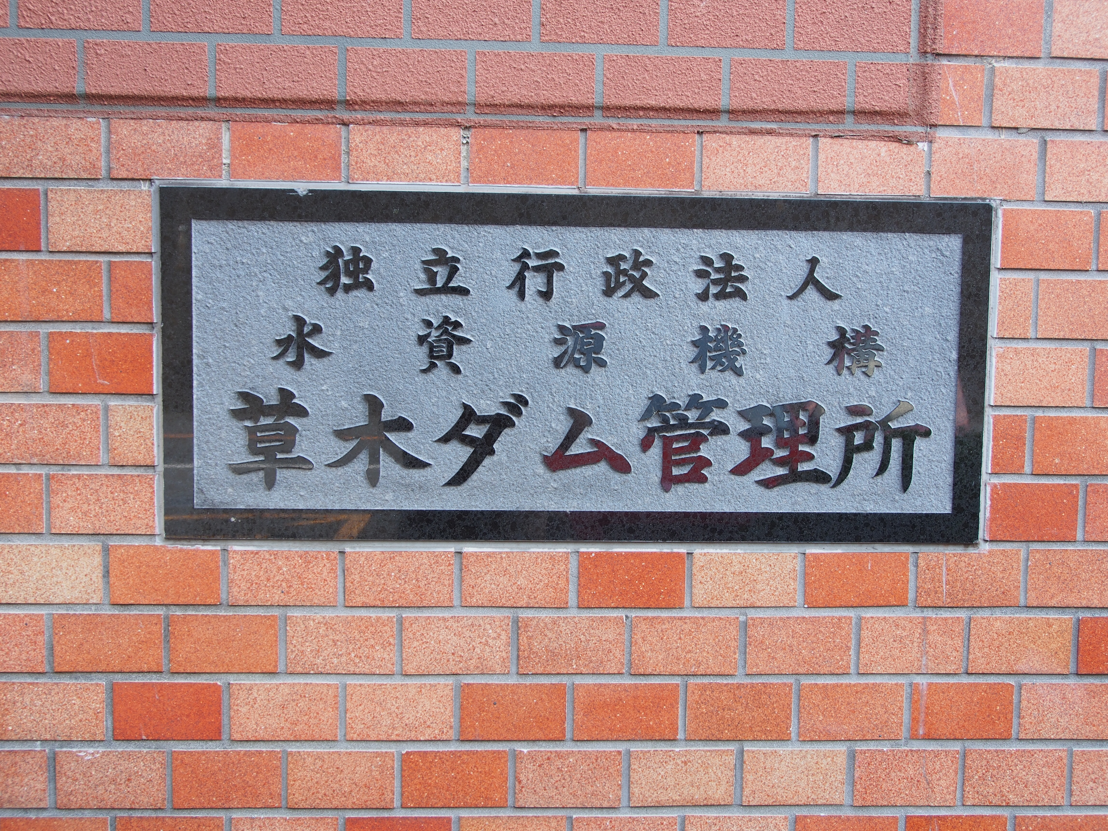 P9080187.JPG