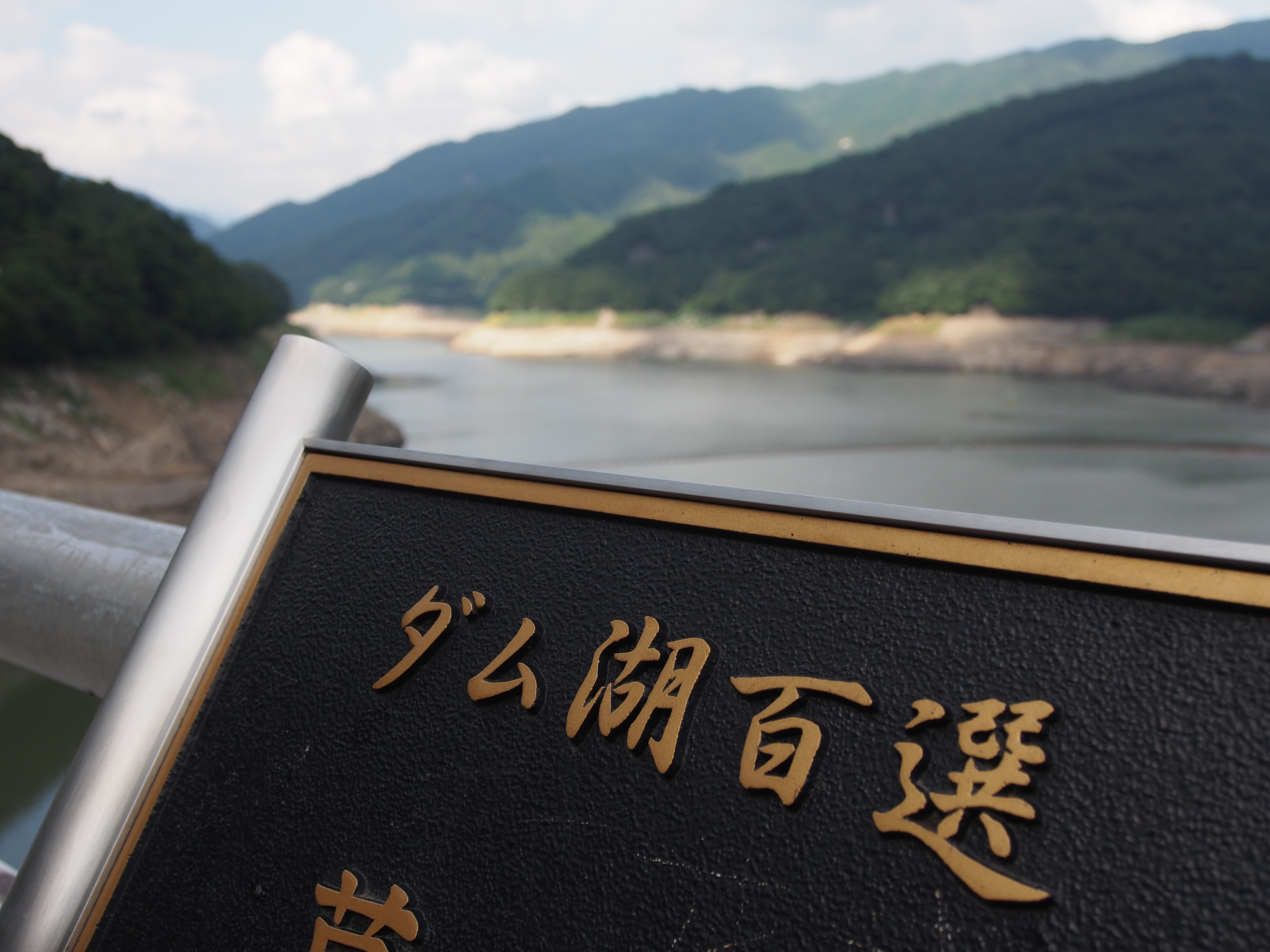 P9080204.JPG