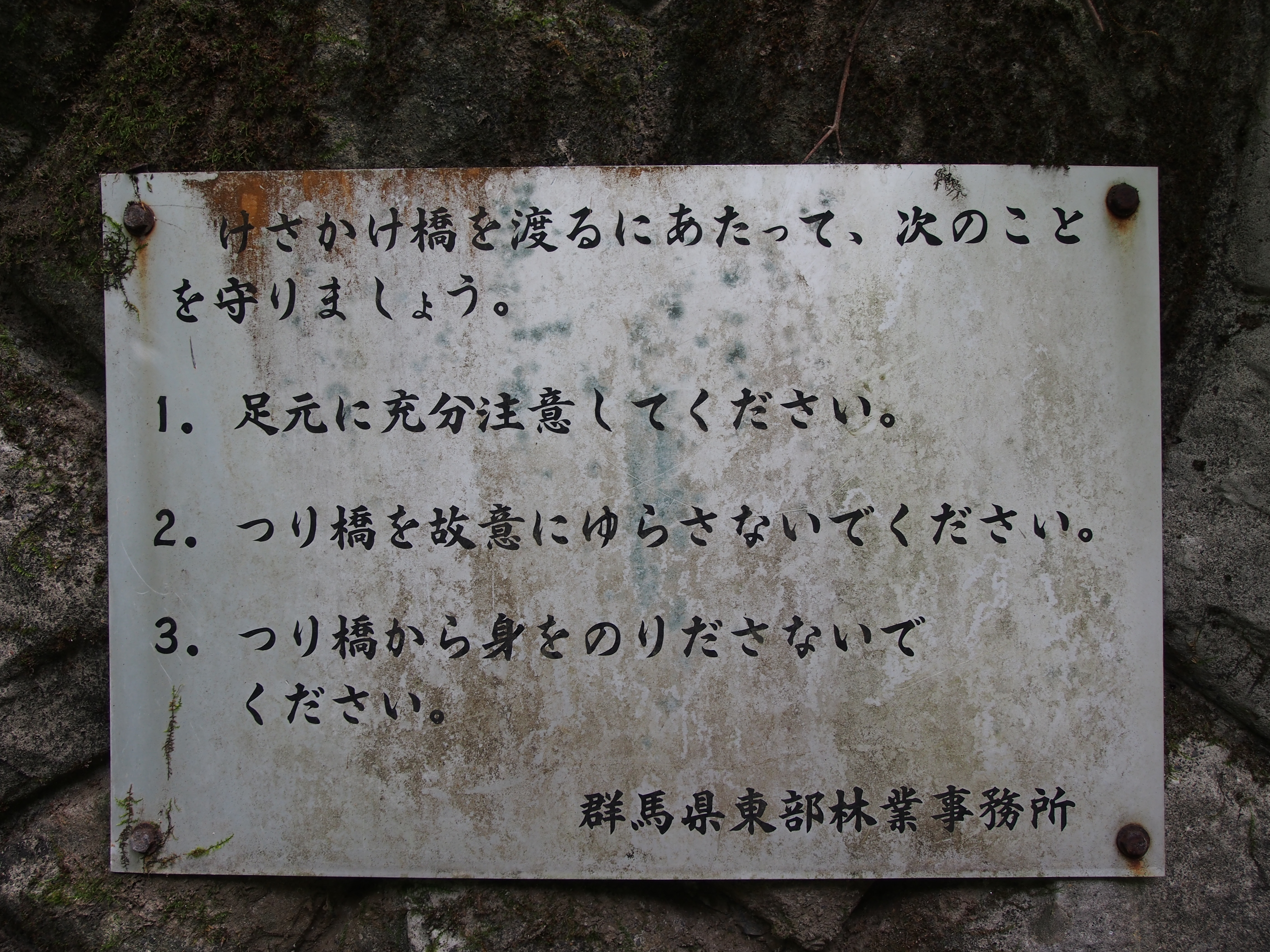 P9080264.JPG