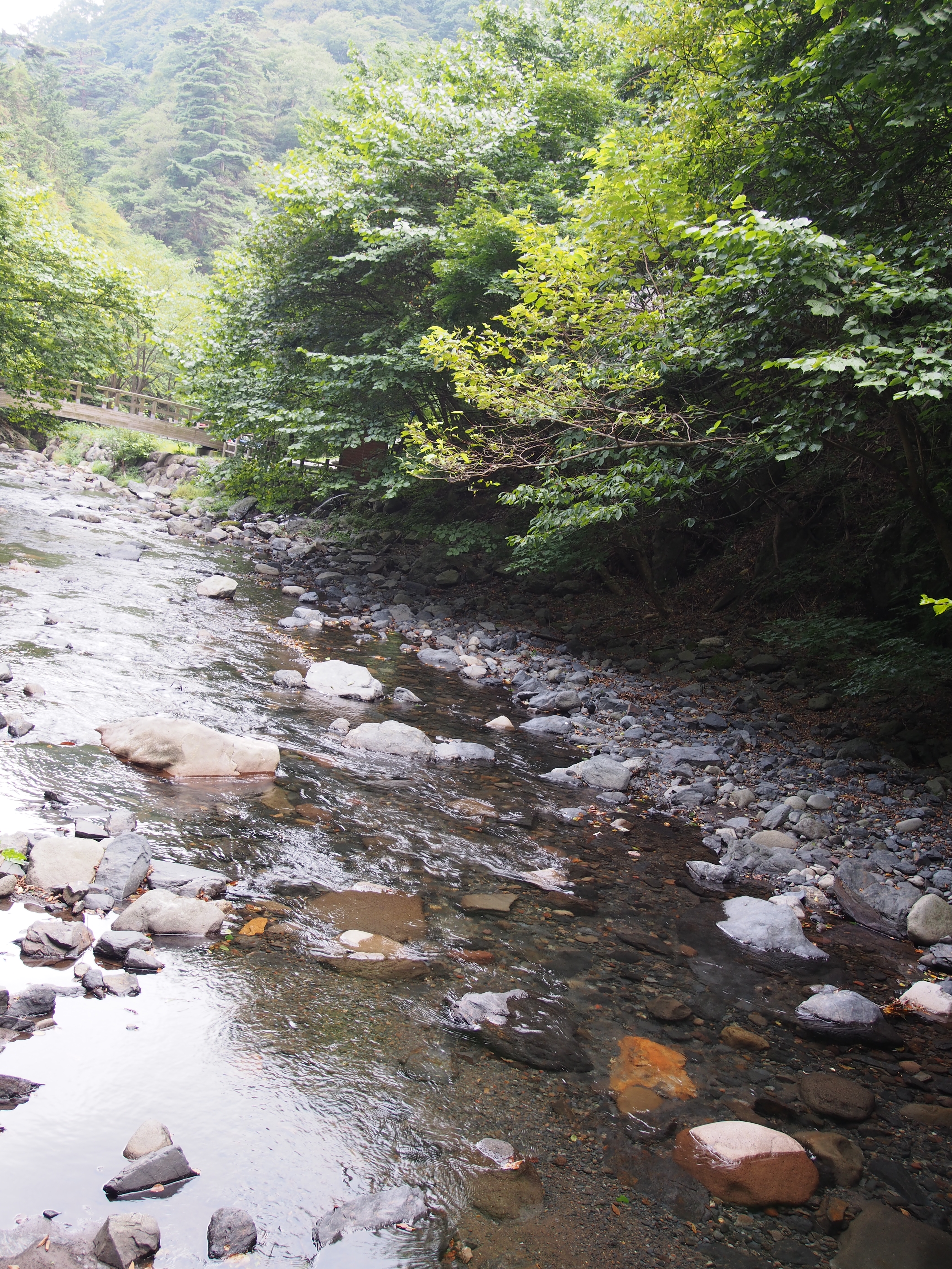 P9080265.JPG