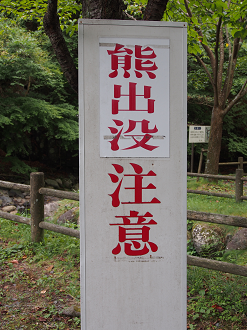 P9080278_thumb.png
