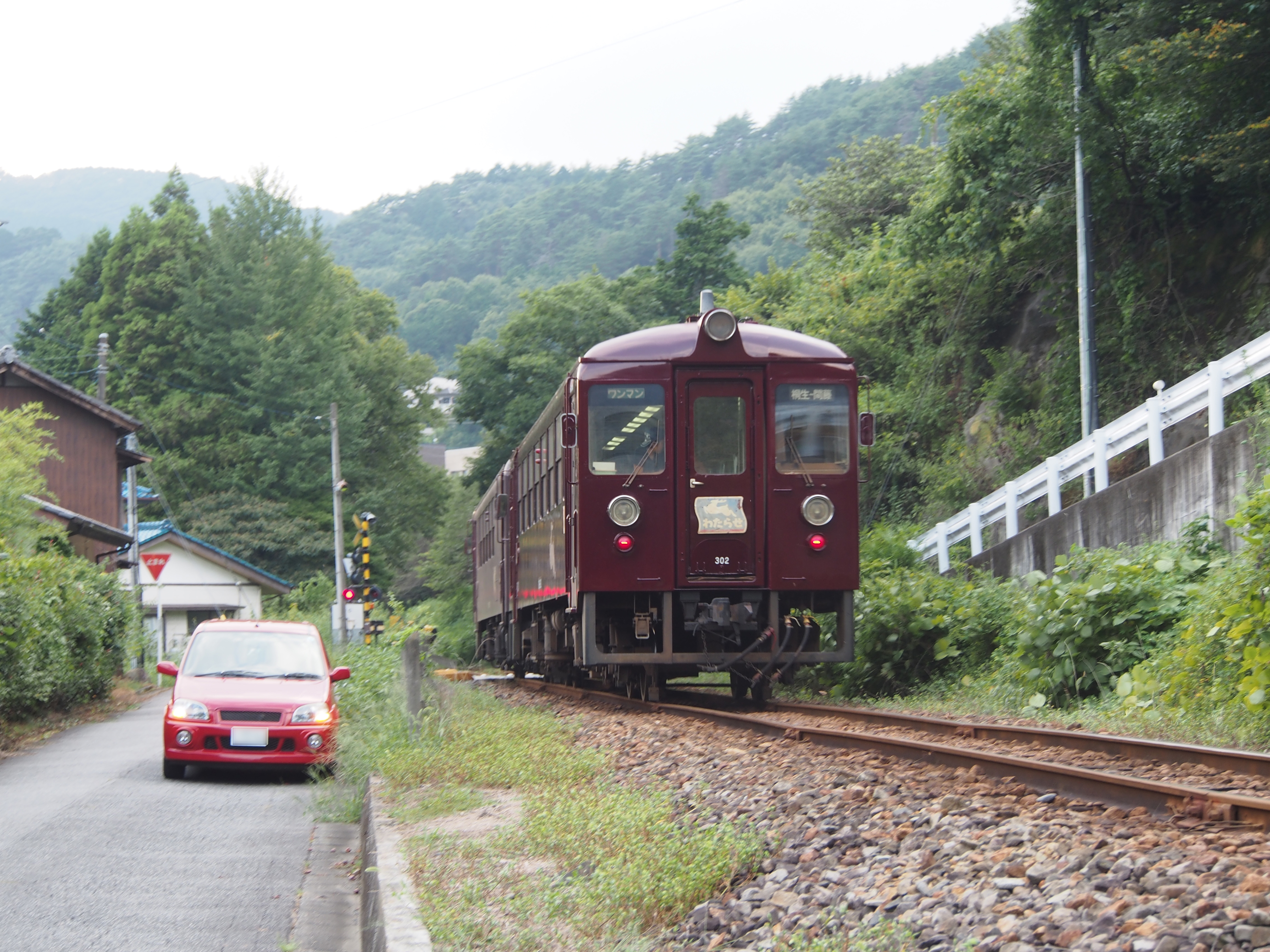 P9080316.JPG