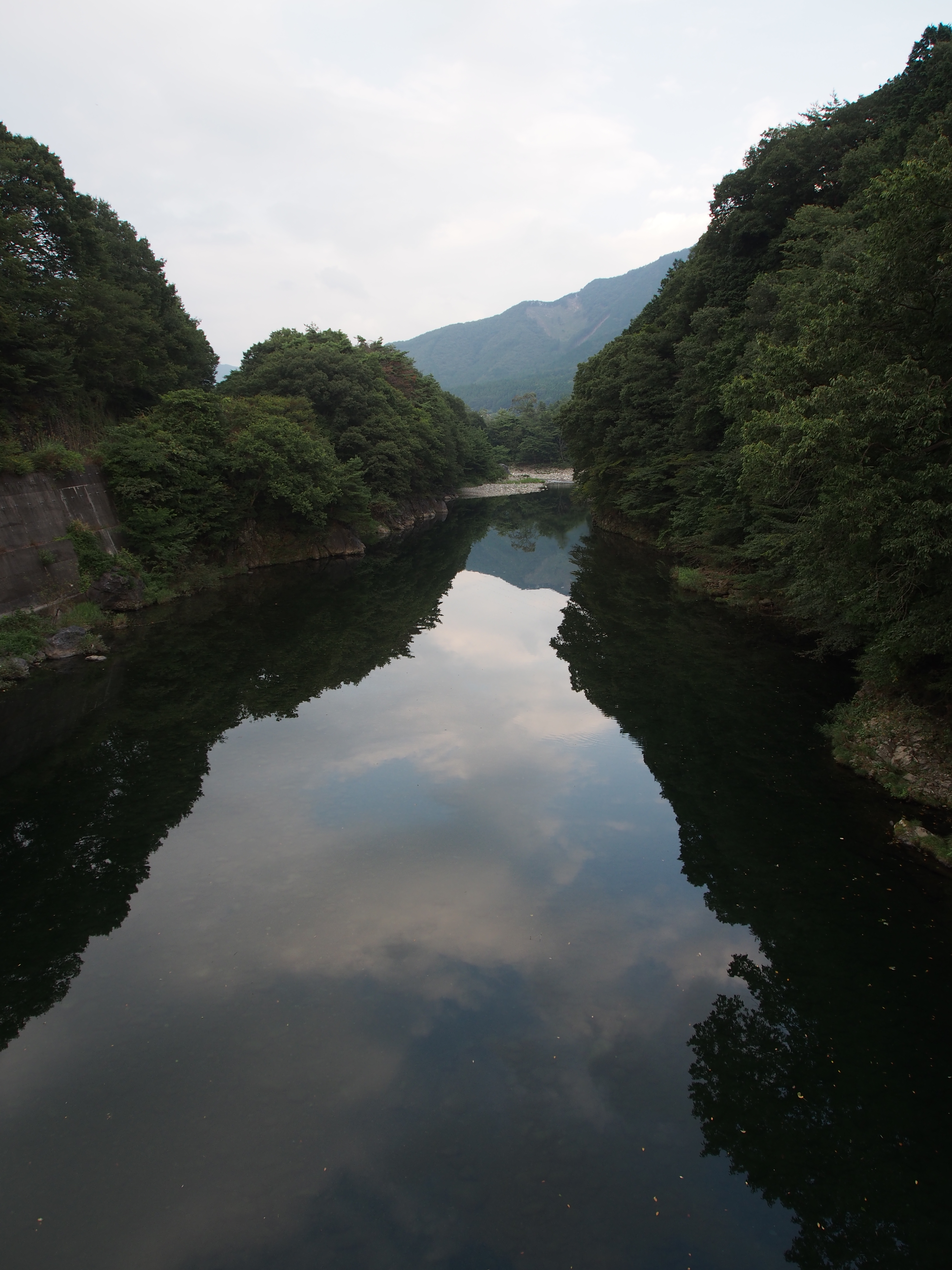 P9080321.JPG