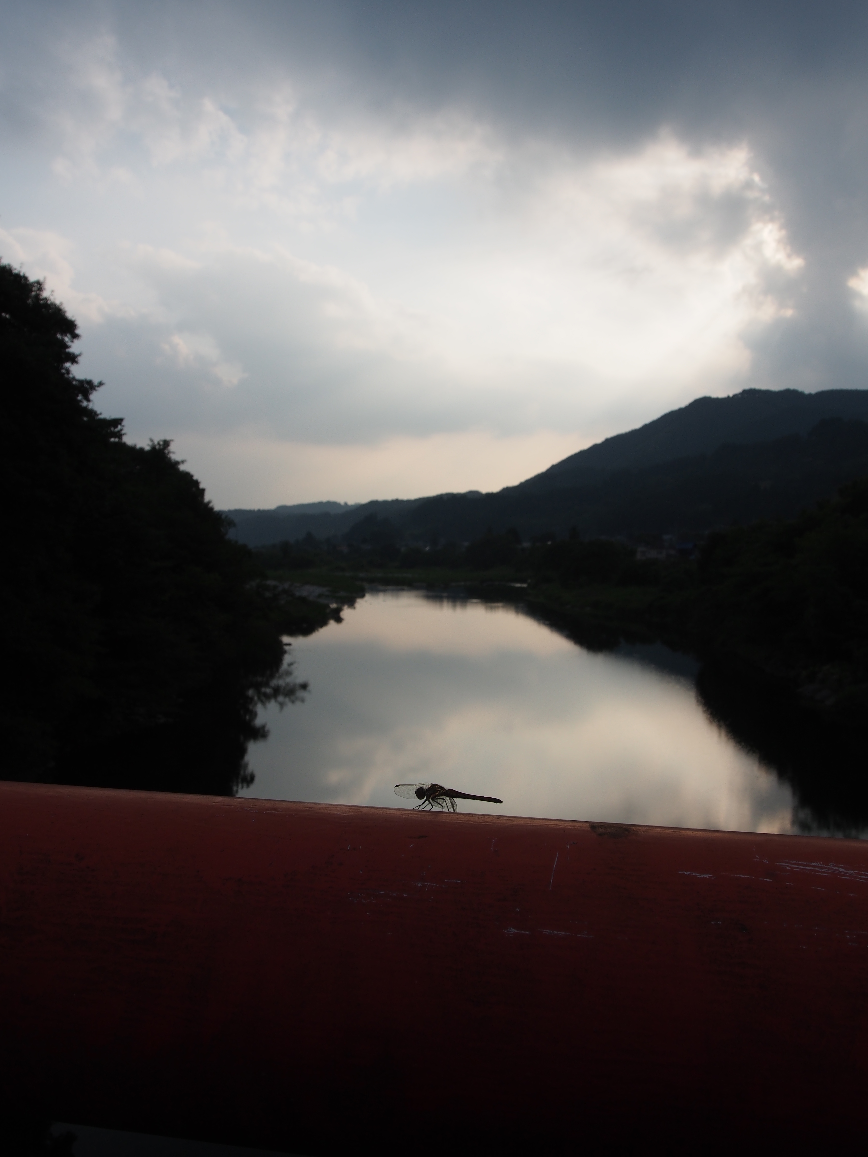 P9080328.JPG