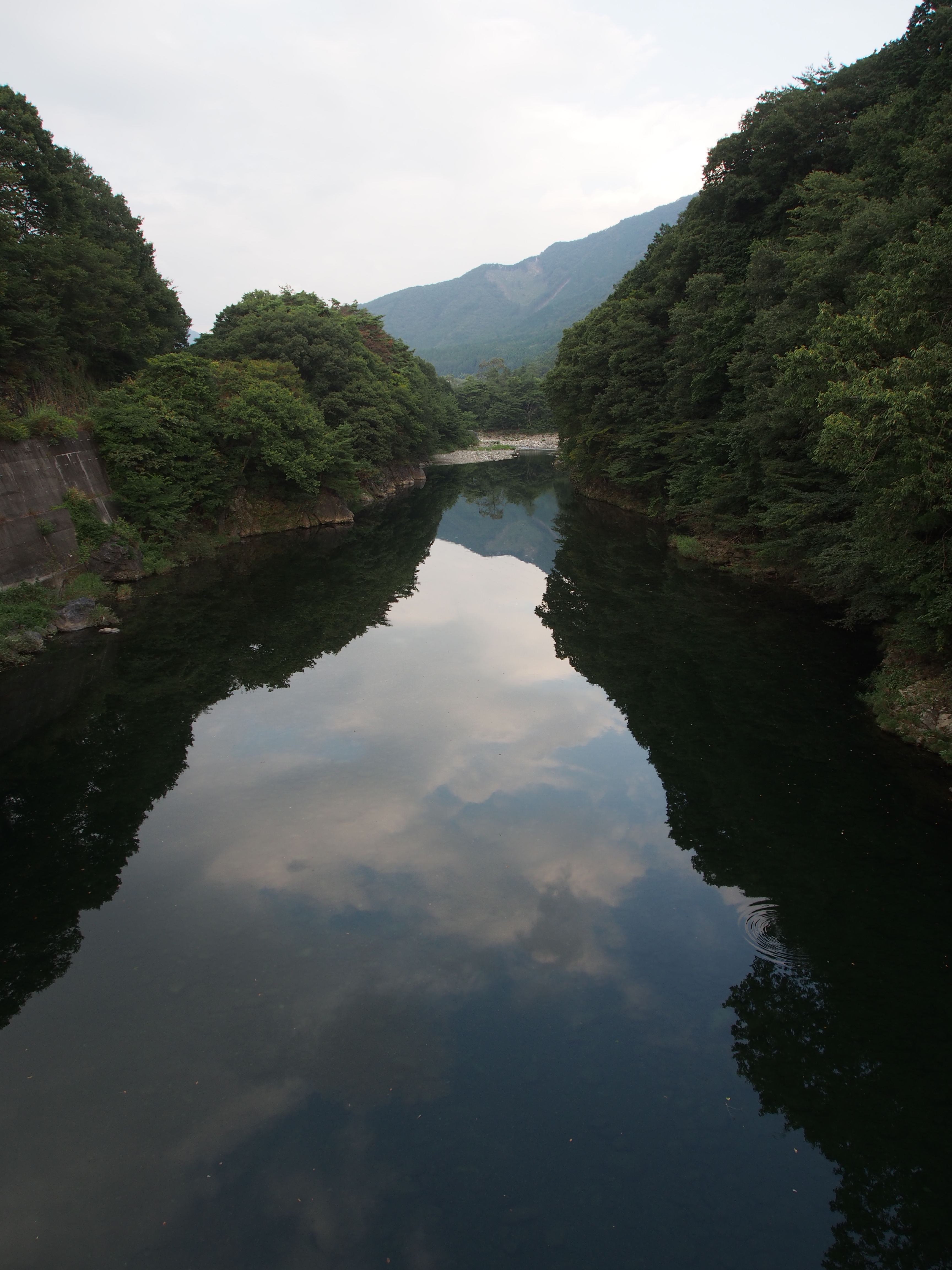 P9080334.JPG