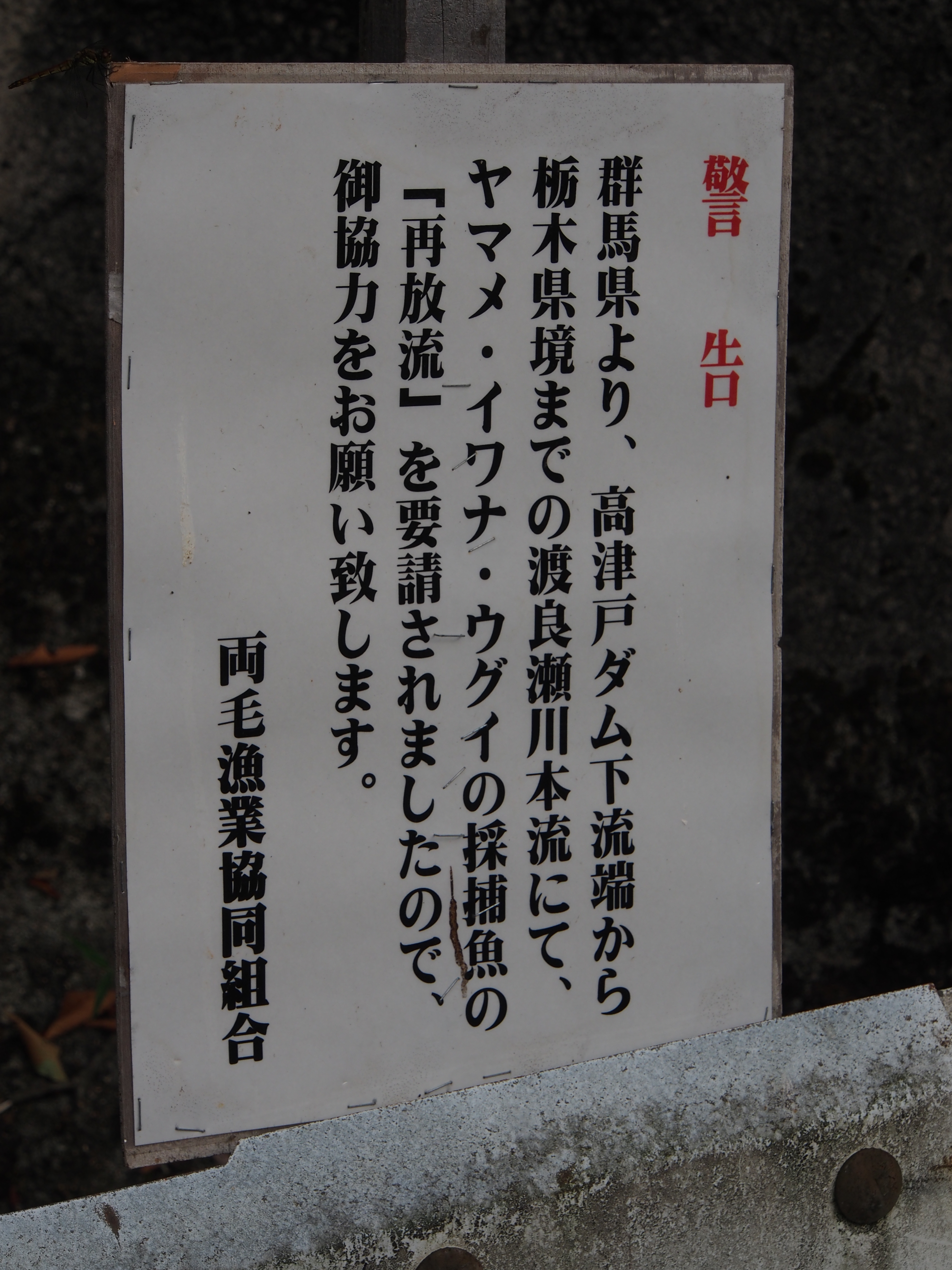 P9080345.JPG