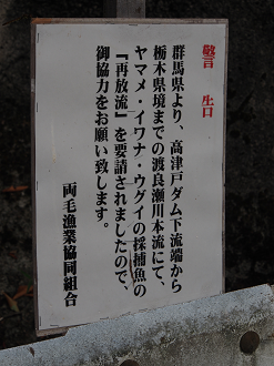 P9080345_thumb.png